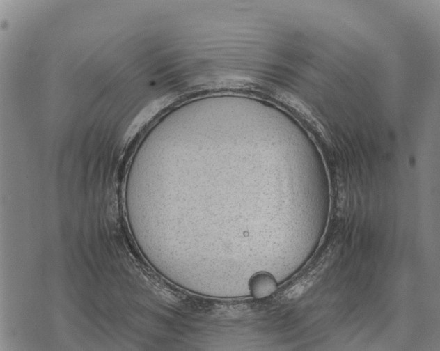 X0000072530978200608041553