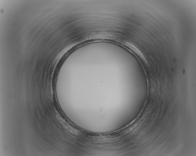 X0000072530980200608041553