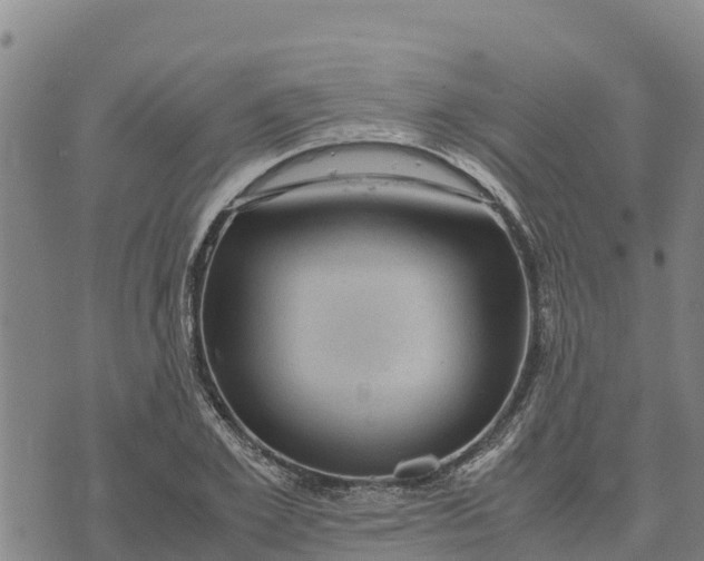 X0000072530981200608041553