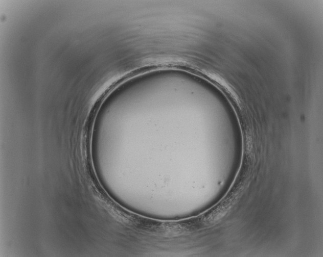 X0000072530983200608041553