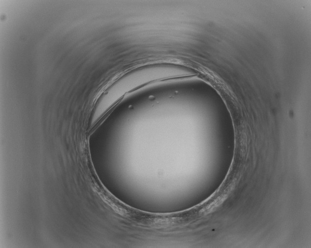 X0000072530985200608041553