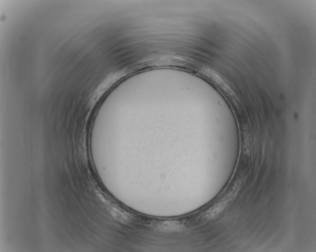 X0000072530986200608041553