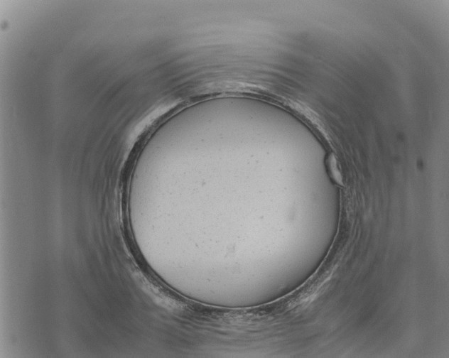 X0000072530987200608041553