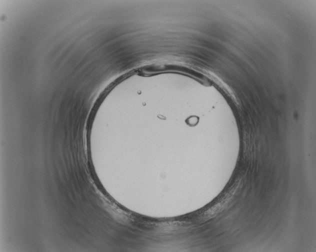 X0000072530988200608041553