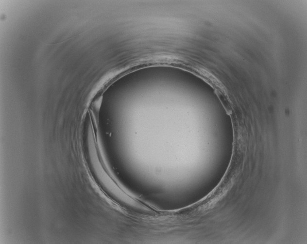 X0000072530989200608041553