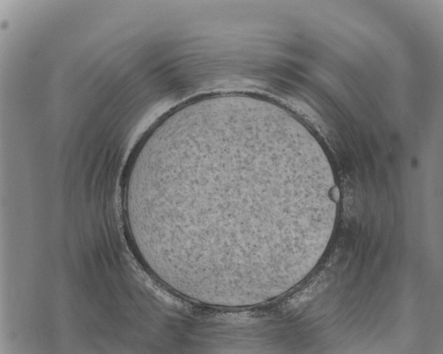 X0000072530990200608041553