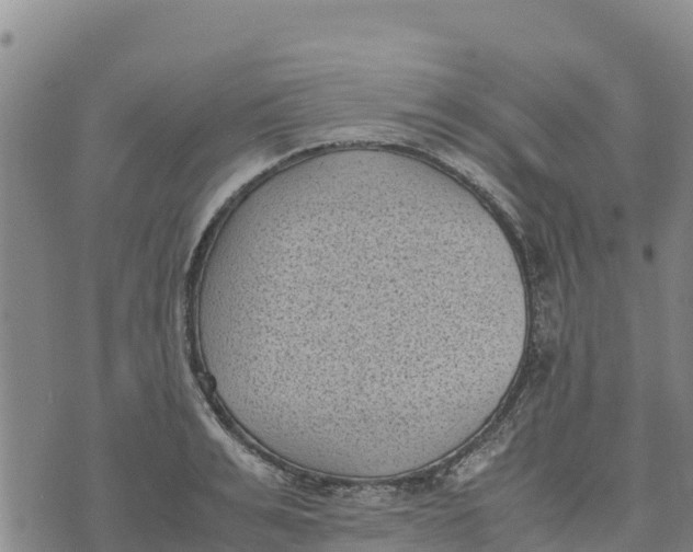 X0000072530991200608041553