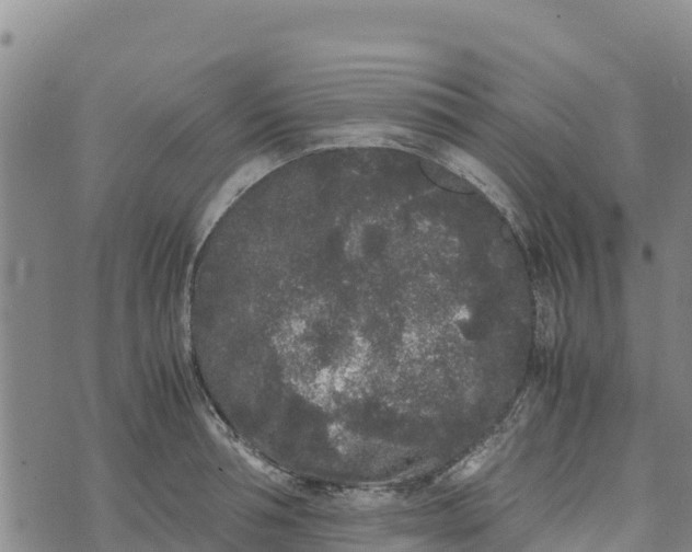 X0000072530994200608041552