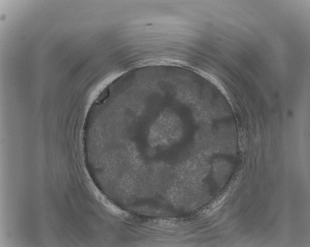 X0000072530995200608041552