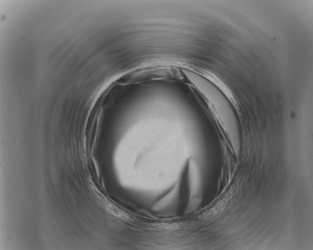 X0000072530996200608041552