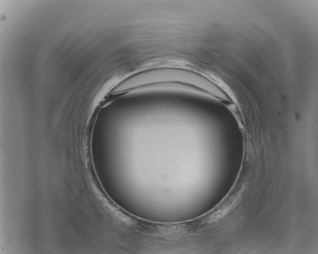 X0000072530997200608041552