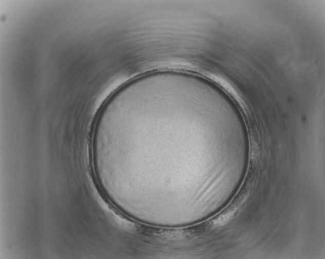 X0000072530999200608041552