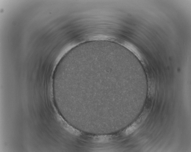 X0000072531000200608041552