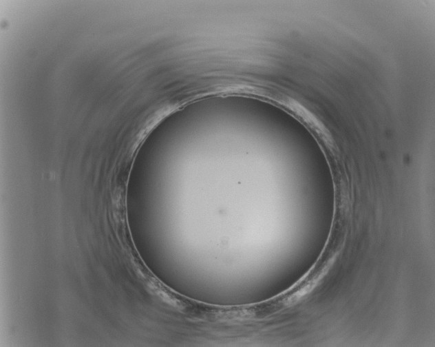 X0000072531001200608041552