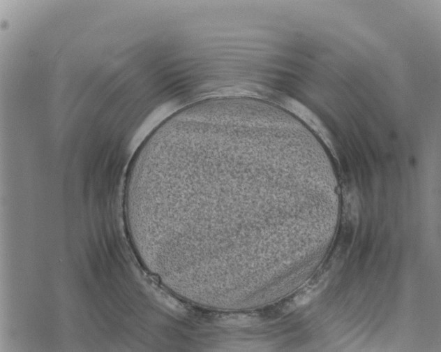 X0000072531002200608041552