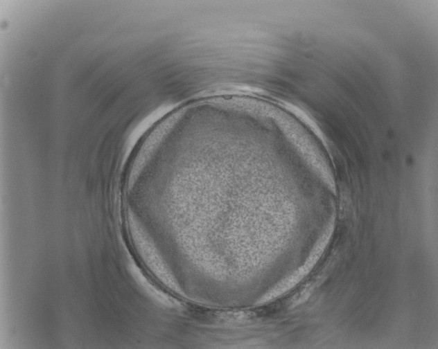 X0000072531003200608041552