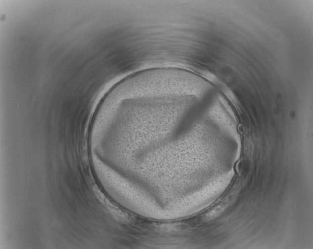 X0000072531004200608041552