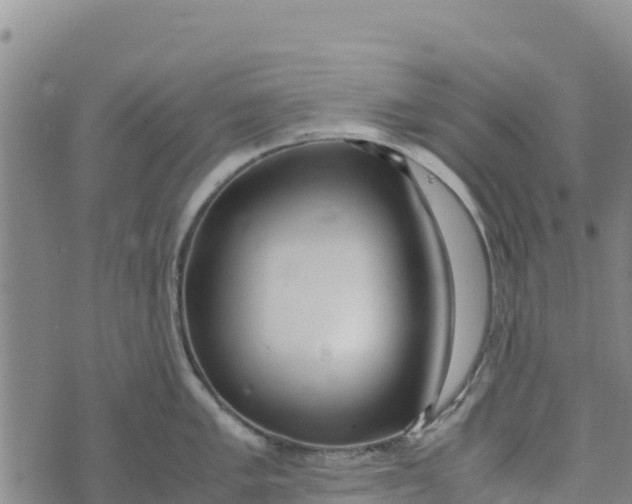 X0000072531005200608041552