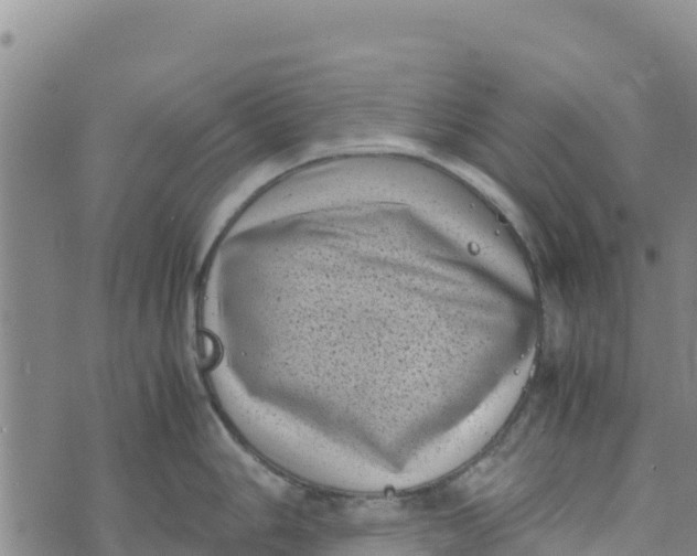 X0000072531006200608041552