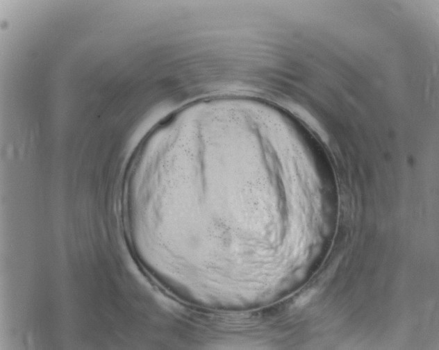 X0000072531007200608041552