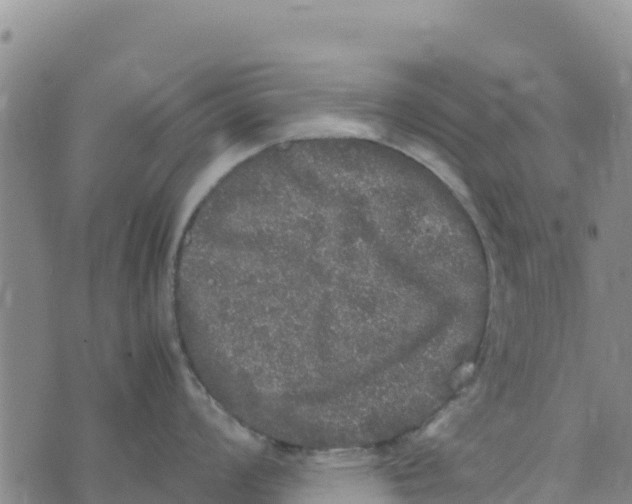 X0000072531008200608041552