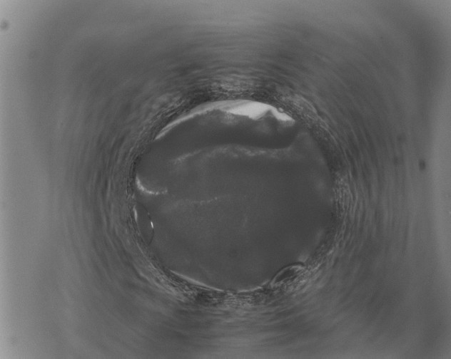 X0000072531009200608041551