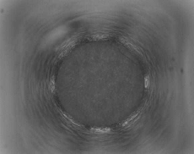 X0000072531011200608041551