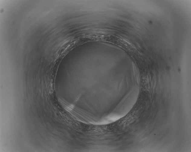 X0000072531013200608041552