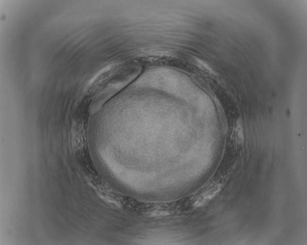 X0000072531014200608041552