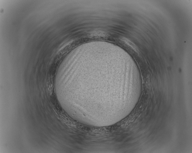 X0000072531015200608041552