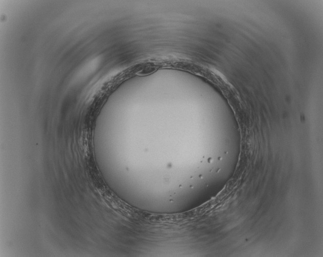 X0000072531016200608041552