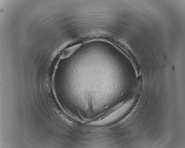 X0000072531018200608041552