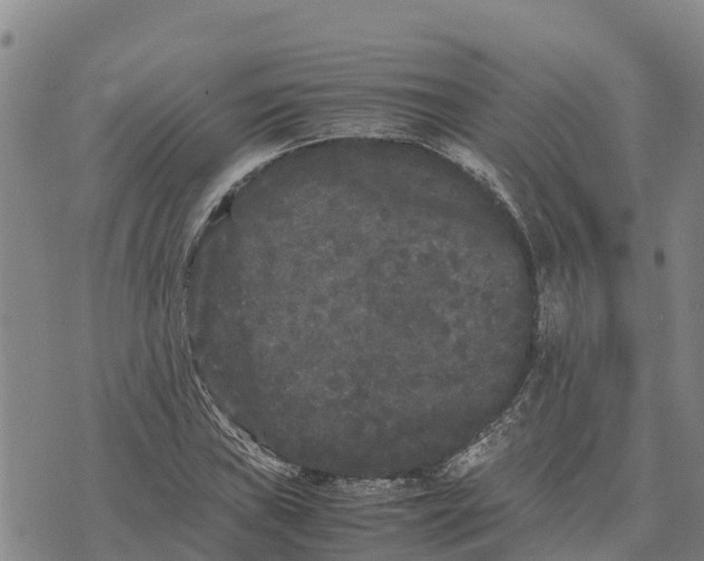 X0000072531019200608041552