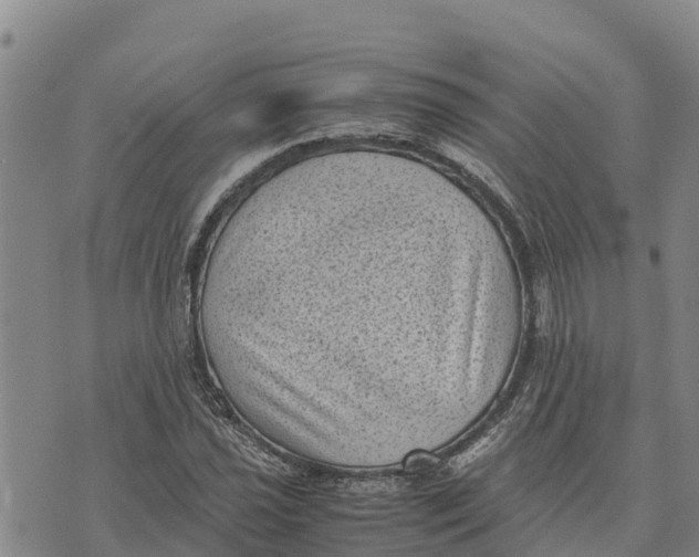 X0000072531021200608041552