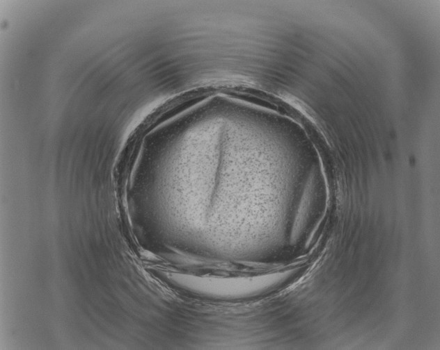 X0000072531022200608041552