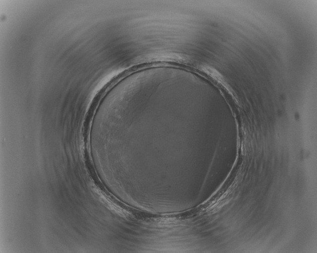 X0000072531024200608041552