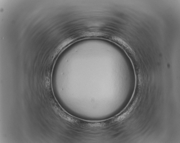 X0000072531025200608041552