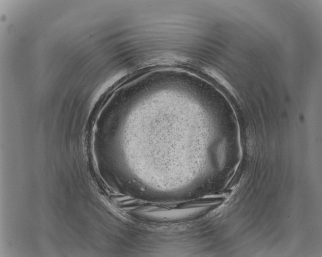 X0000072531026200608041552