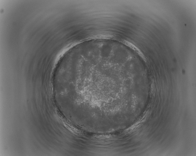 X0000072531027200608041552