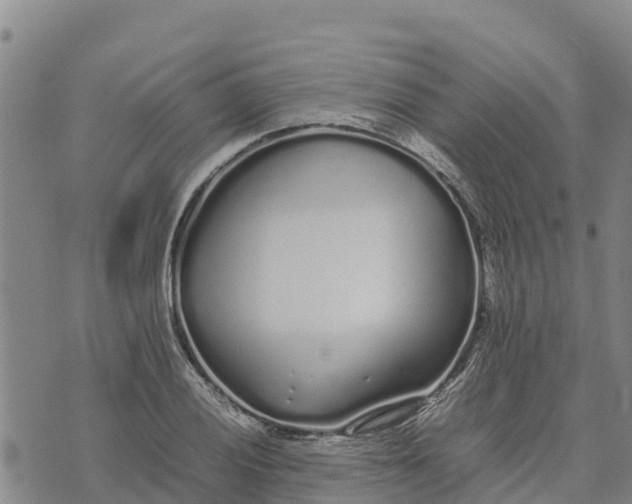 X0000072531028200608041552