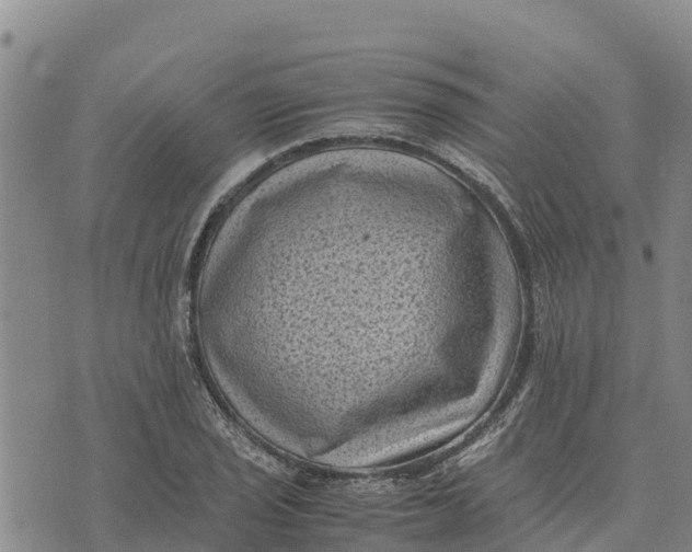 X0000072531029200608041552