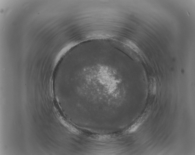 X0000072531030200608041552