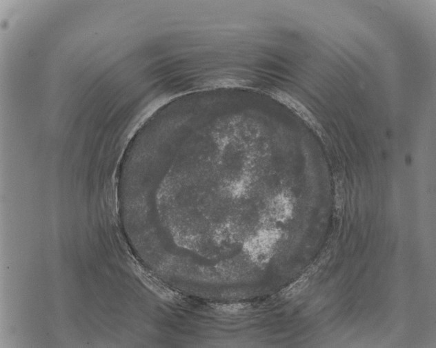 X0000072531031200608041552