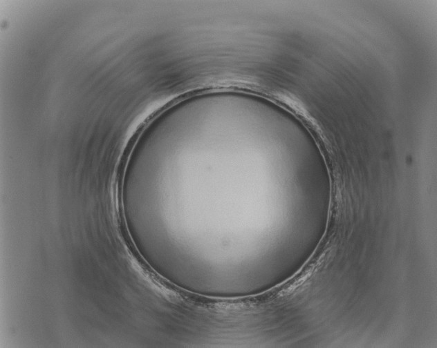 X0000072531032200608041552