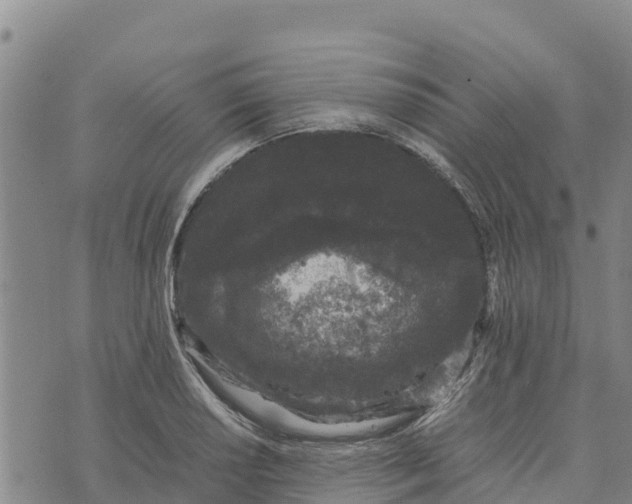 X0000072531034200608041552