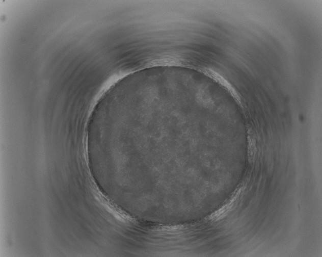 X0000072531035200608041552