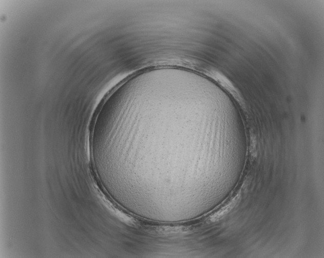 X0000072531036200608041552