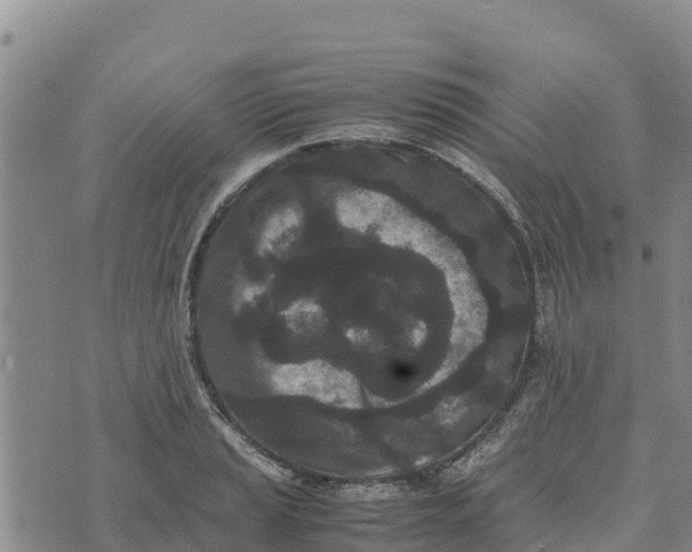 X0000072531037200608041552