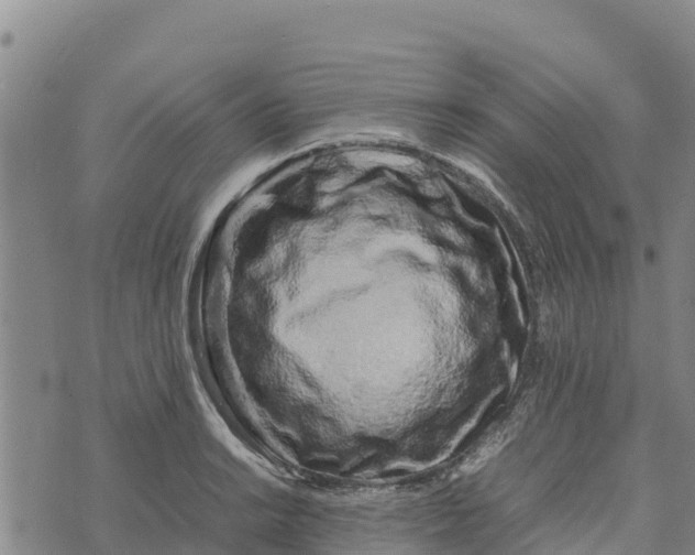 X0000072531038200608041552