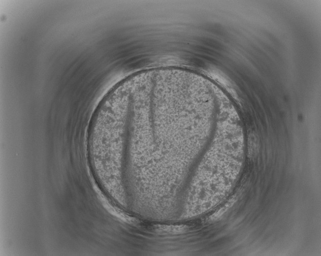 X0000072531039200608041552